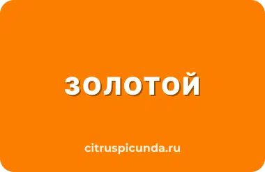 Loyalty program image